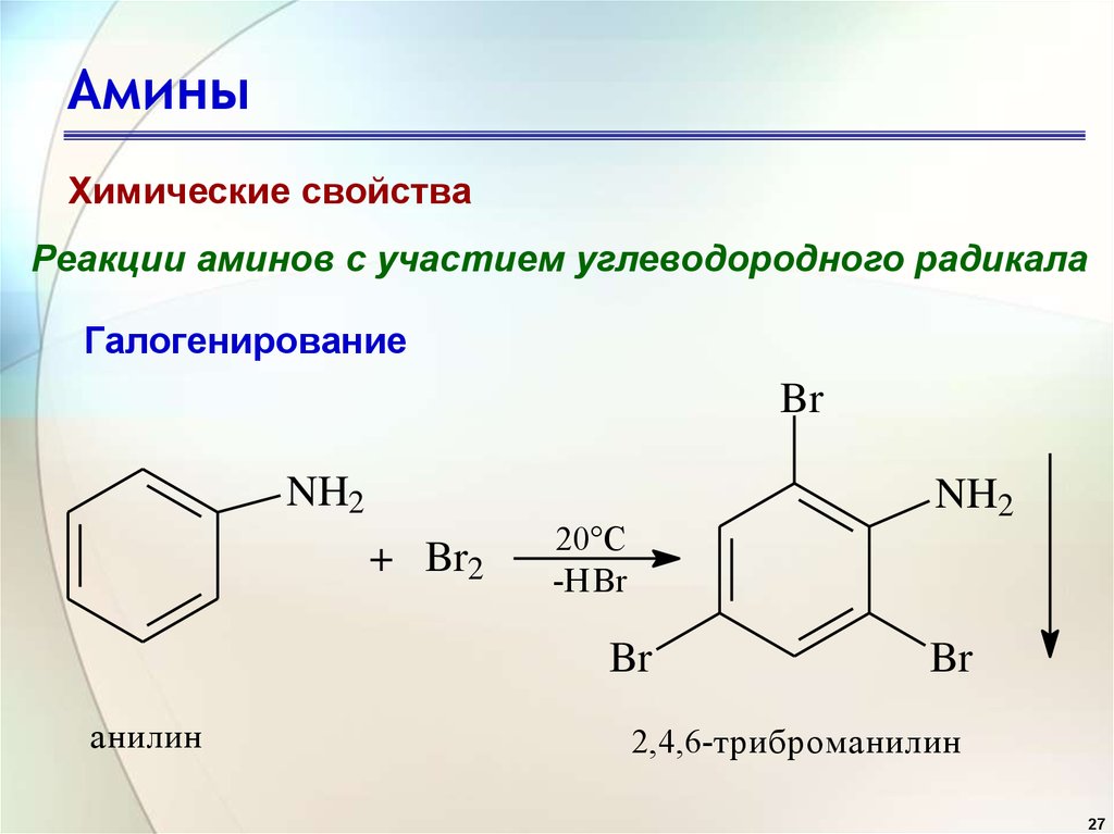 Амины химические свойства аминов. Галогенирование третичных Аминов. Галогенирование метиламина. Ароматические Амины галогенирование. Химическое свойство Аминов галогенирование.