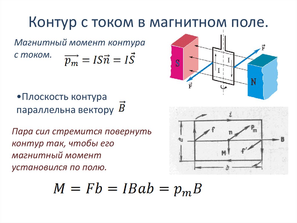 На рисунке показано положение кругового контура с током помещенного в однородное магнитное поле