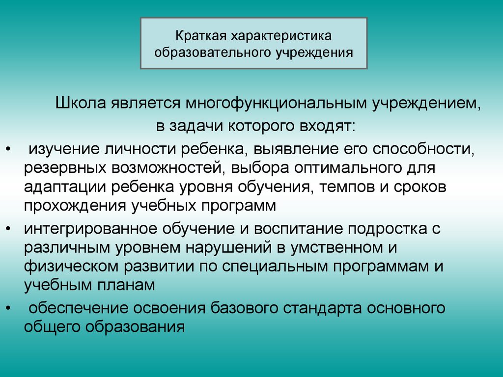 Общая характеристика педагогической системы. Предварительная характеристика учебных возможностей ребенка.