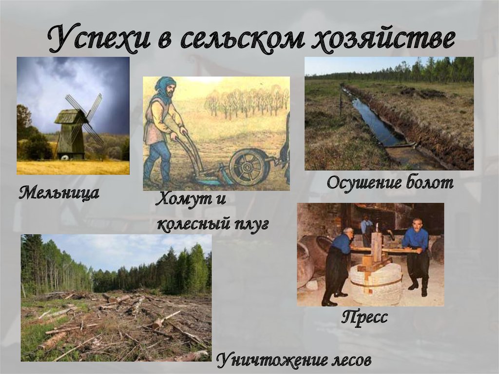 Успехи в сельском хозяйстве