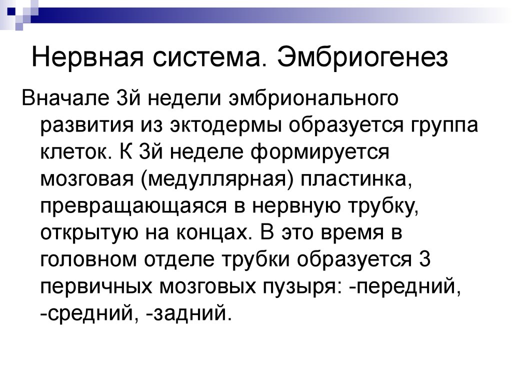 Анатомо физиологические особенности нервной системы у детей презентация