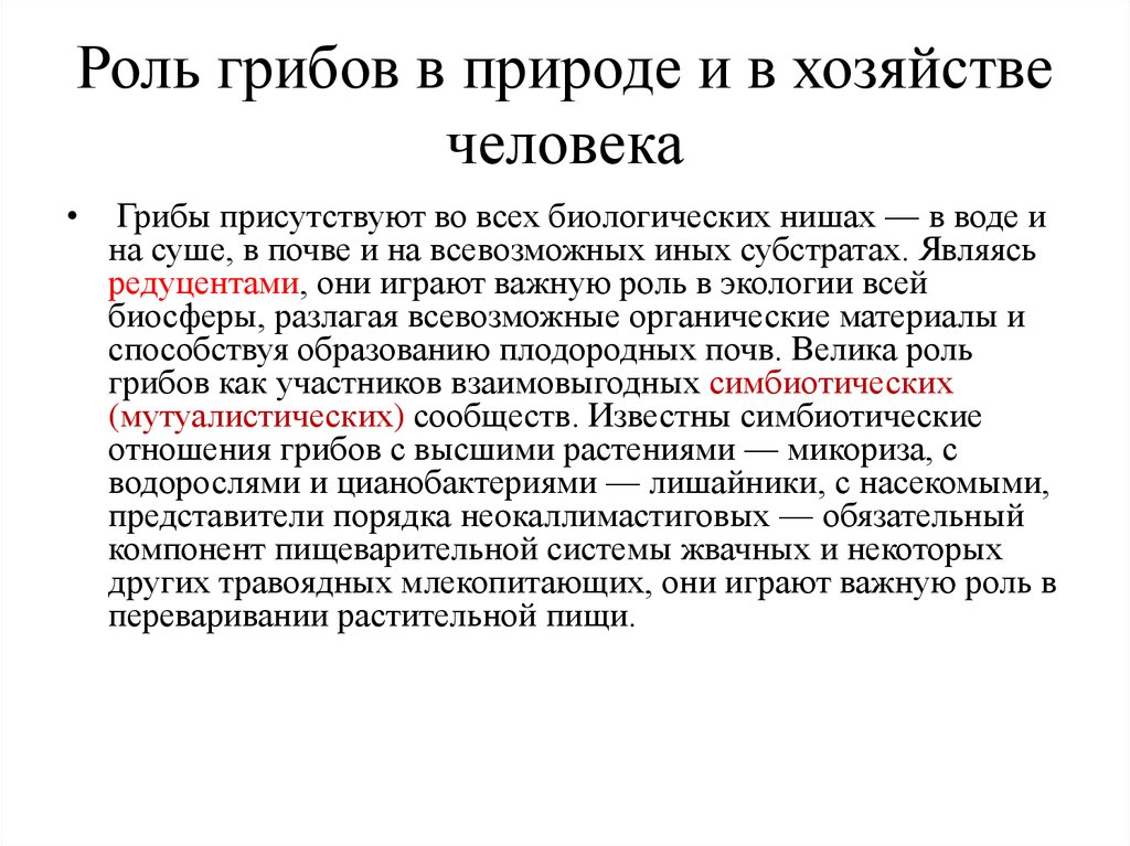 Презентация многообразие грибов их роль в природе и жизни человека