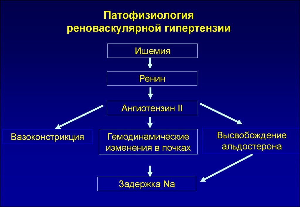 Патфиз. Механизмы развития реноваскулярной гипертензии. Реноваскулярная гипертензия патогенез. Гипертензия патофизиология. Этиология реноваскулярной гипертензии.