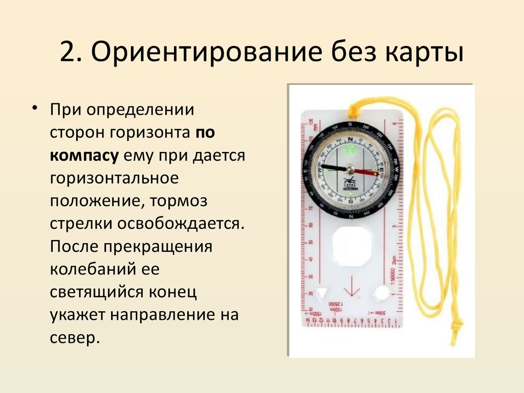 Как ориентироваться без карты