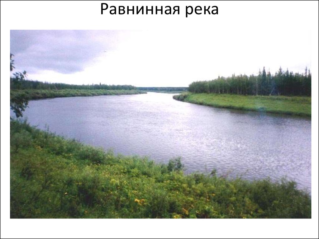 Крупнейшая река равнины. Река большая Верейка рыбалка. Равнинные реки реки. Река на равнине. Верейка озеро.