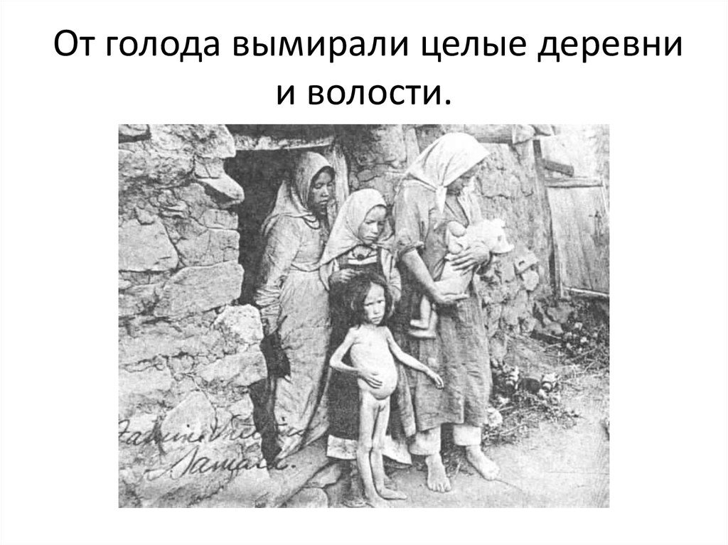 От голода вымирали целые деревни и волости.