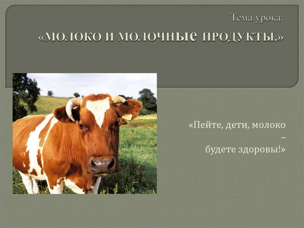 Презентация на тему молоко и молочные продукты