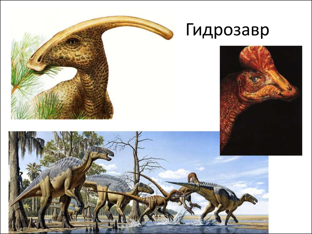 Древние пресмыкающиеся виды. Первые рептилии. Первые древние пресмыкающиеся. Гидрозавры. Пресмыкающиеся Пермского периода.