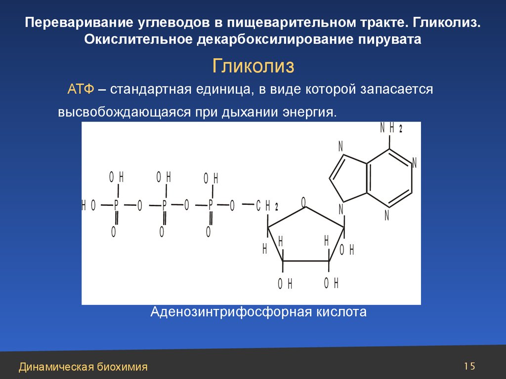 Углеводы биохимия презентация