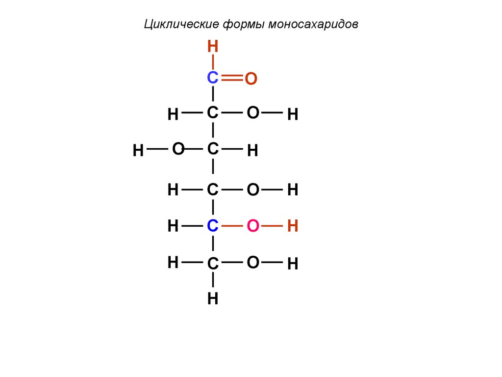 Соединение 2 моносахаридов. Циклические формы моносахаридов. Производные моносахаридов и их функции.. Циклические формы моносахаридов презентация. Рибоза в фуранозной форме.