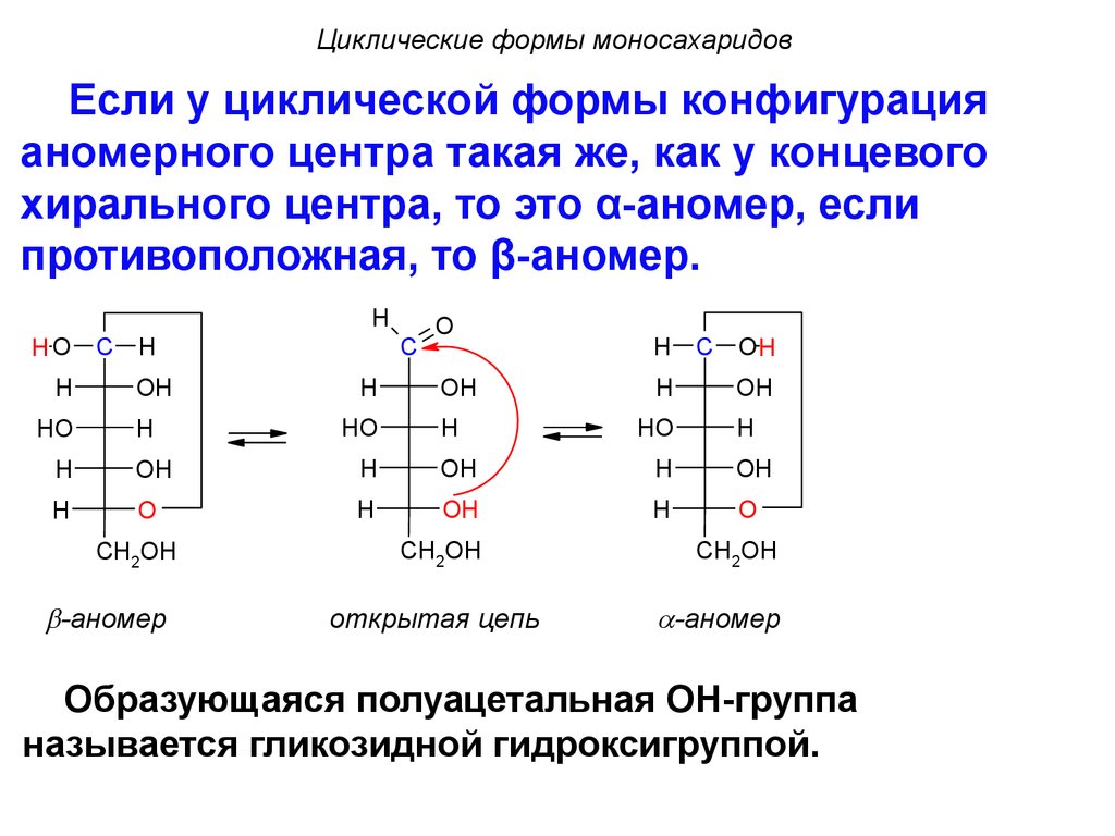 Циклические цепи. Полуацетальная форма моносахаридов. Хиральный углерод моносахаридов. Конфигурация хирального центра моносахаридов. Открытые и циклические моносахаридов..