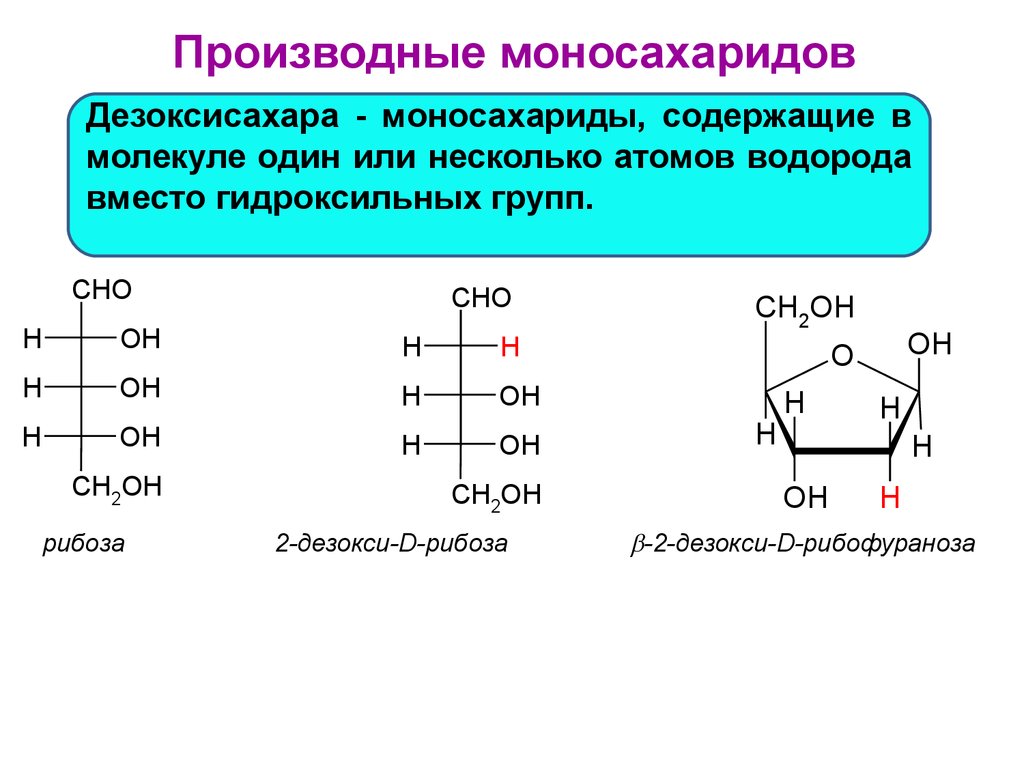 Рибоза биологическая роль. 2 Дезокси д галактоза. Строение производных моносахаридов дезоксисахара аминосахара. D-рибоза и 2-дезокси-d-рибоза. Производные моносахаридов аминосахара.