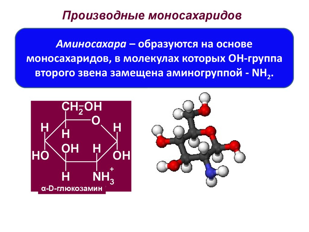 Моносахарид молекула. Общая формула производных моносахаридов. Моносахаридов химические свойства, производные. Аминирование моносахаридов. Производные моносахаридов – фосфосахара.