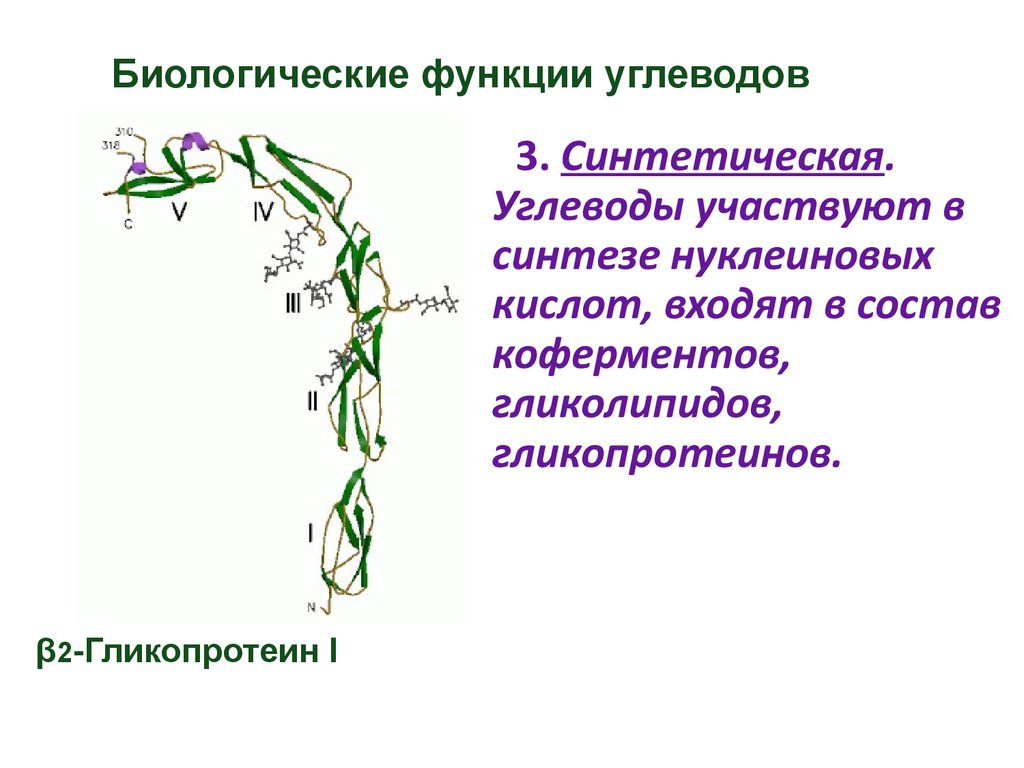 Биологические возможности