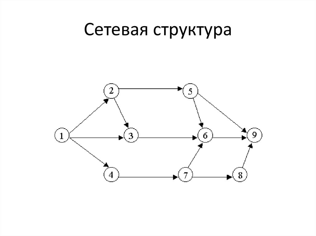 Сетевая организационная структура схема