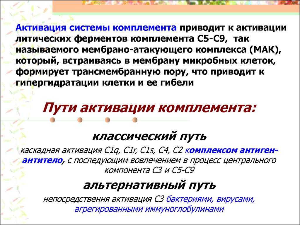 Система комплемента. Система комплемента микробиология. Компоненты системы комплемента. Компоненты комплемента микробиология. Активация системы комплемента.