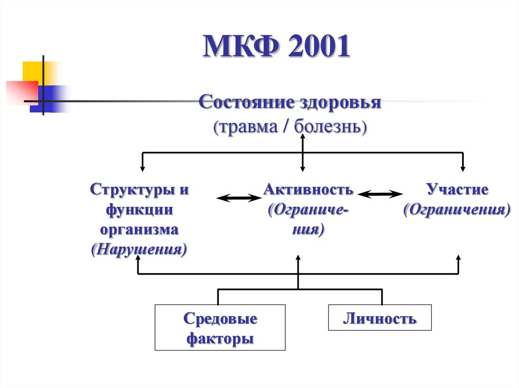 Международная классификация функционирования презентация