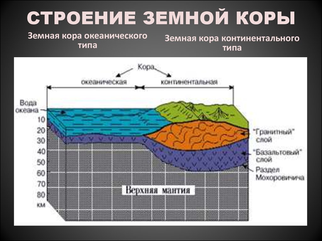 Слои материковой и океанической земной коры