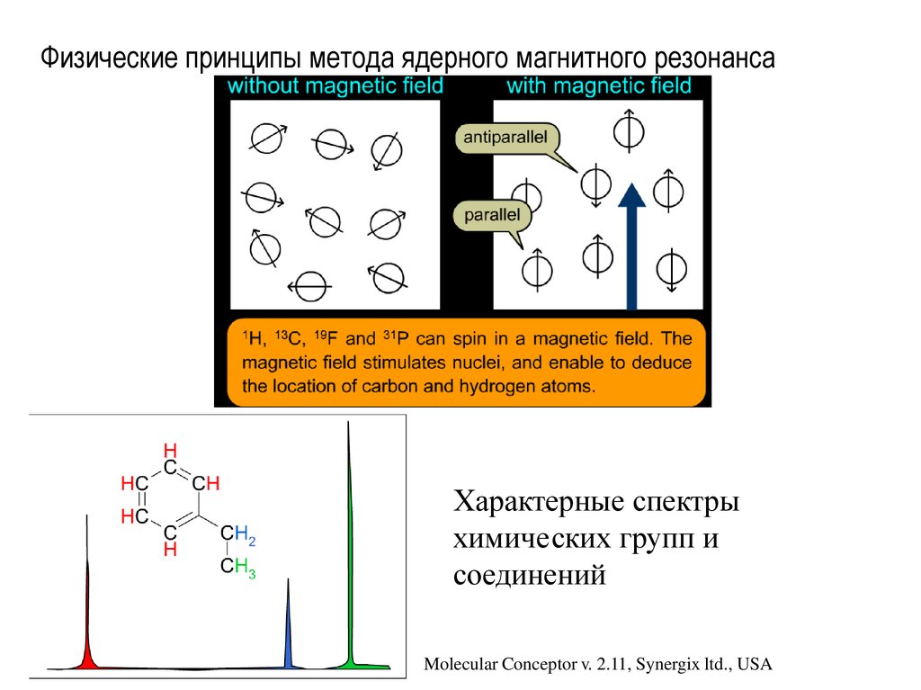 Физические принципы. Принцип ядерного магнитного резонанса. ЯМР принцип метода. Физический принцип ЯМР метода. Принцип метода ядерного резонанса.