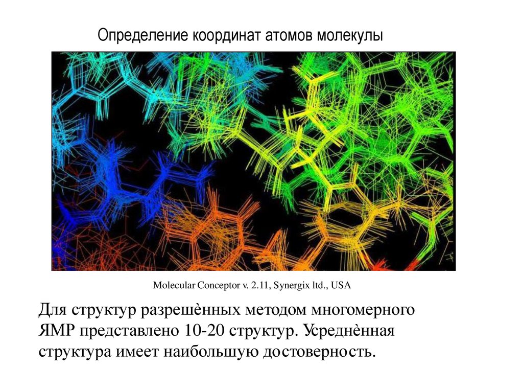 33 измерение. Координаты атомов. Биомакромолекулы. Биомакромолекулы клеточный многоклеточный. Молекулярный: биомакромолекулы, вирусы, вироиды.