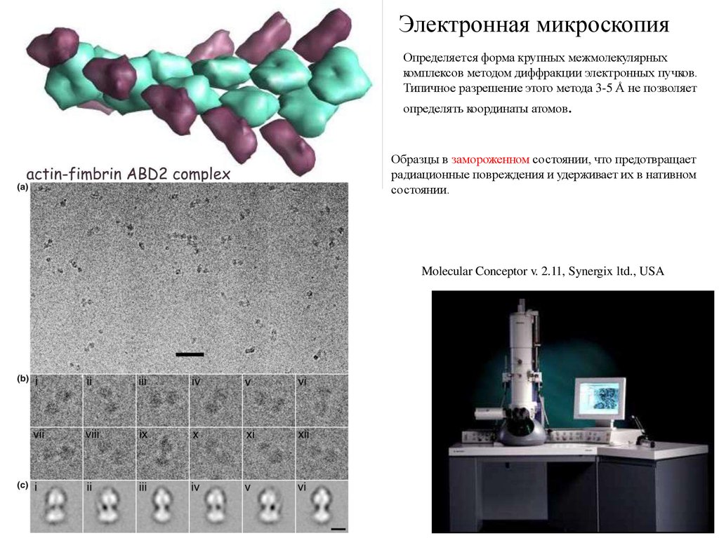 Метод комплексов. Радиационное охрупчивание металла. Электронная микроскопия позволяет определить размер. Повреждение биомакромолекул. Атомарный пример повреждения.