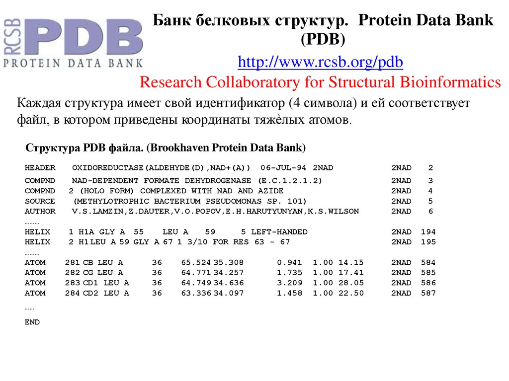 Protein data bank