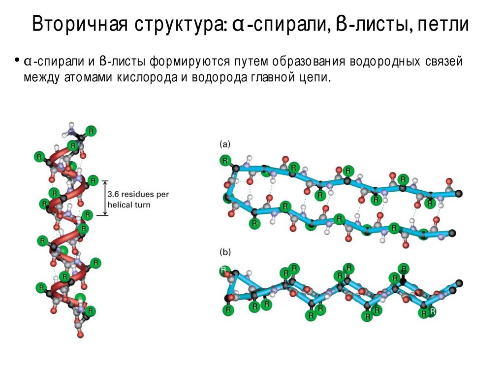 Связь вторичной структуры