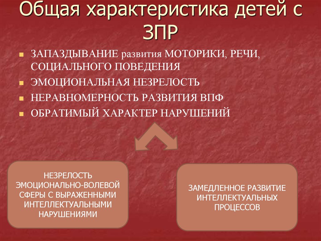 Характеристика ребенка с задержкой психического развития образец