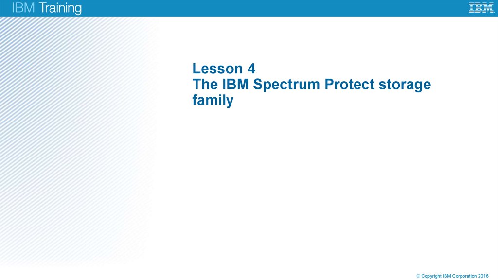 Lesson 4 The IBM Spectrum Protect storage family
