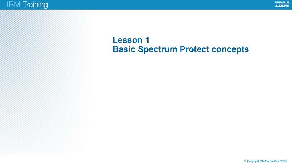 Lesson 1 Basic Spectrum Protect concepts
