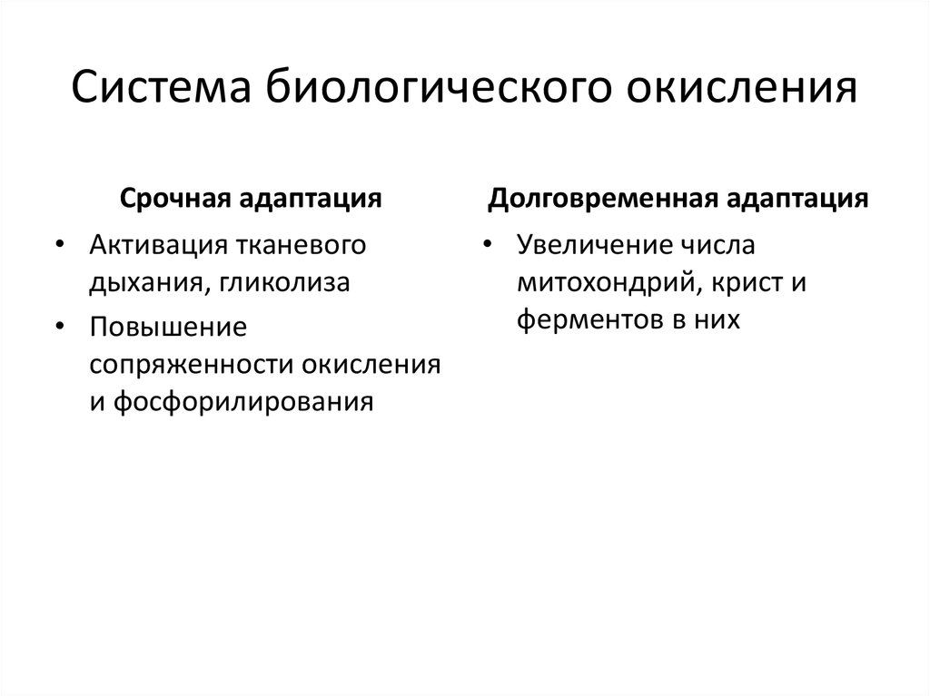 Приспособительные реакции при гипоксии