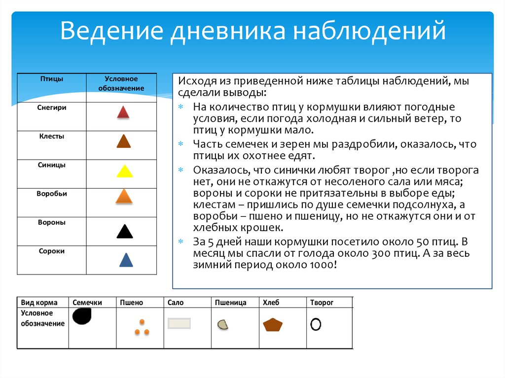 Дневник ведения проекта