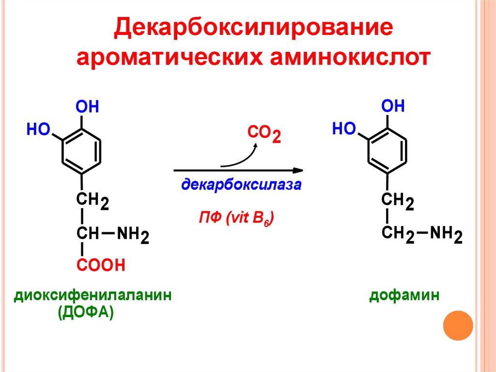 Декарбоксилирование триптофана