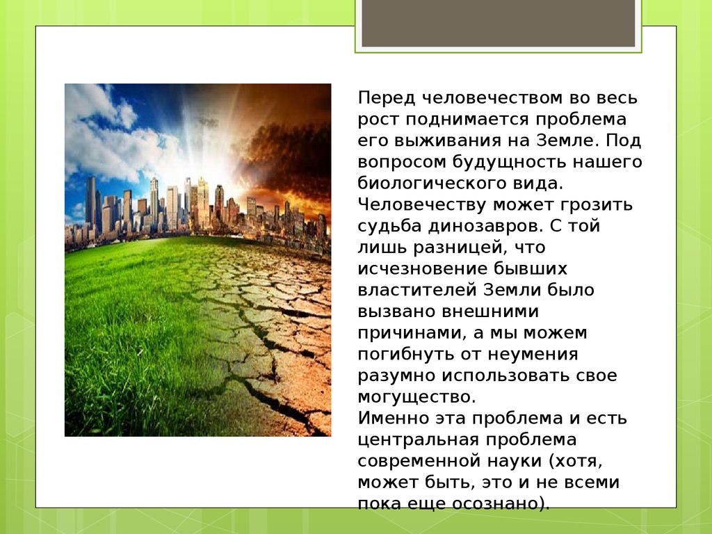 Поднимается проблема. Что будет если все леса исчезнут. Что будет если исчезнут леса на земле. Что будет если исчезнет почва. Проблемы выживания земли.