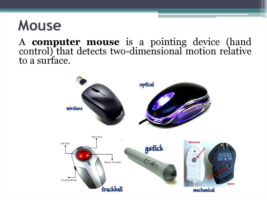Mouse 