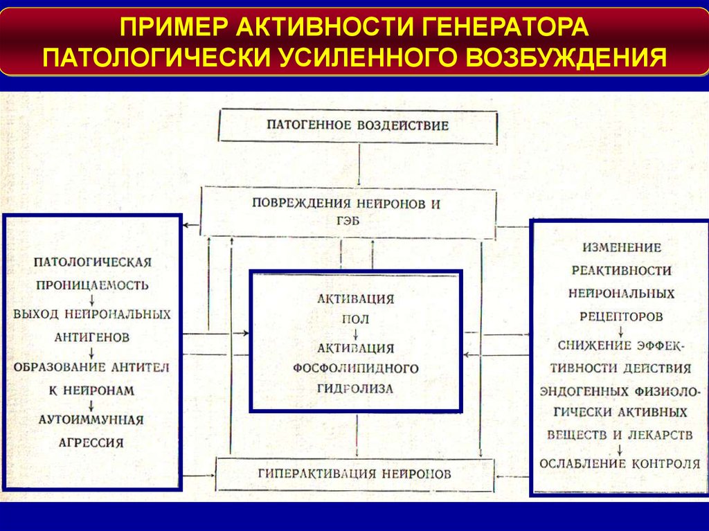 Схема механизмов формирования генератора патологически усиленного возбуждения