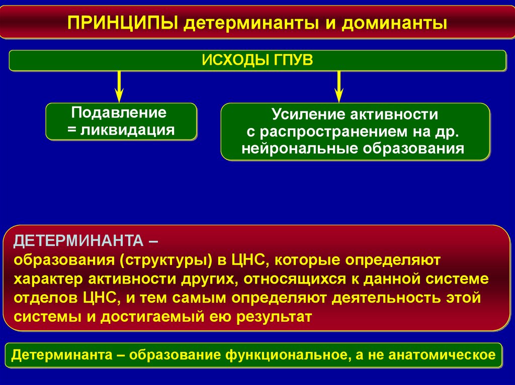 Схема механизмов формирования генератора патологически усиленного возбуждения