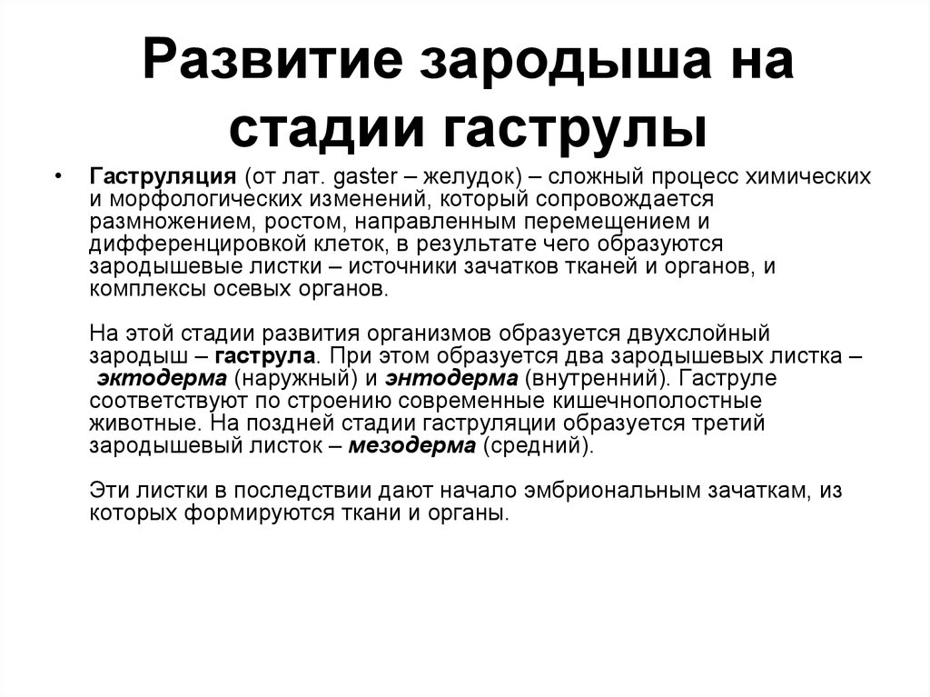 Развитие зародыша на стадии гаструлы