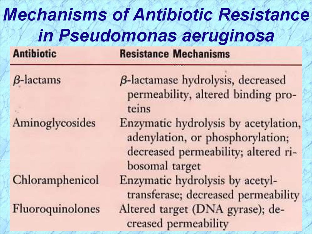 Pseudomonas Aeruginosa Antibiotic Resistance Carpet Vidalondon   Slide 12 