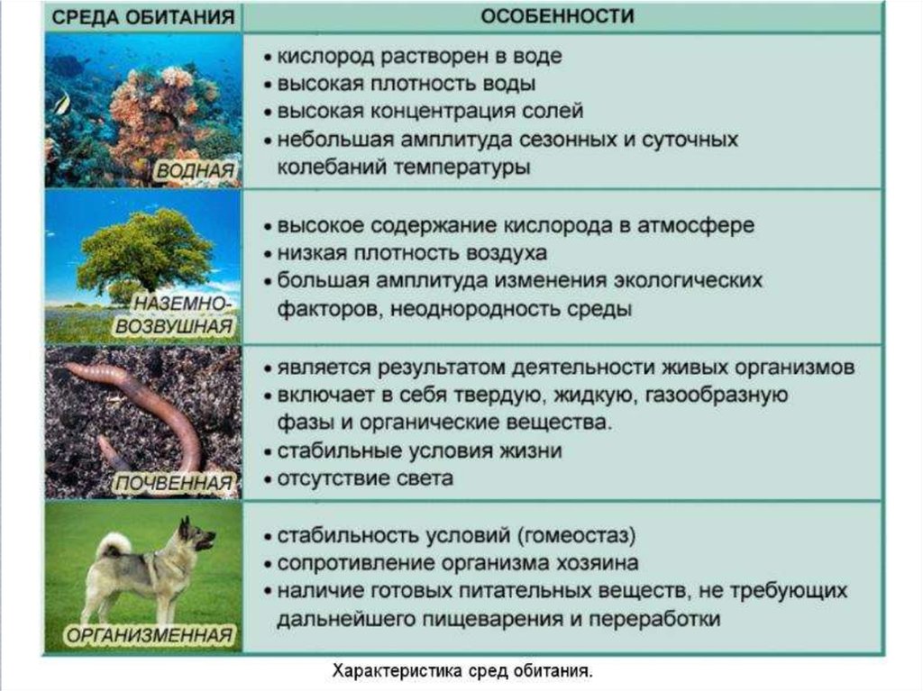 Презентация среда обитания экологические факторы 7 класс