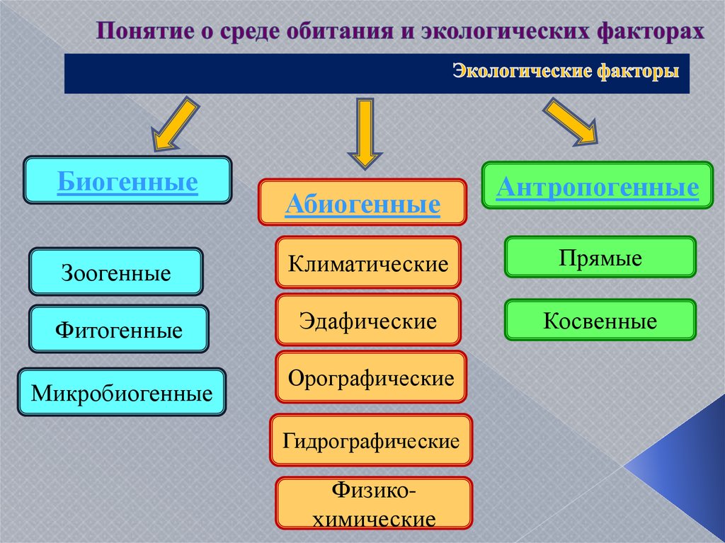 Какие среды окружают человека. Экологические факторы среды обитания. Среда обитания и факторы среды. Биогенные и абиогенные факторы. Биогенные абиогенные антропогенные.