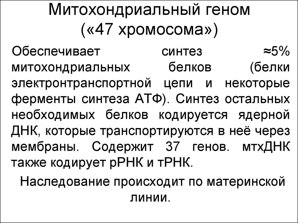 Обеспечивает синтез. Митохондриальный геном. Ферменты биосинтеза белка. Синтез митохондриальных белков. Митохондриальные гены.