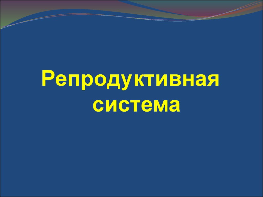 Репродуктивная система человека презентация