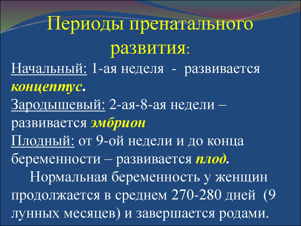 Пренатальное развитие. Пренатальный период развития это. Периодизация пренатального развития. Стадии пренатального развития. Периоды пренатального развития человека.