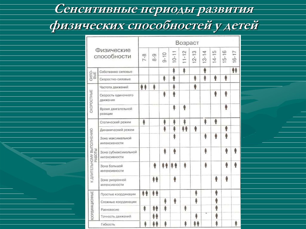 Навыки физического развития. Сенситивные периоды развития таблица. Сенситивные периоды развития координационных способностей детей. Сензитивный период развития ребенка таблица. Сенситивные периоды развития психики таблица.