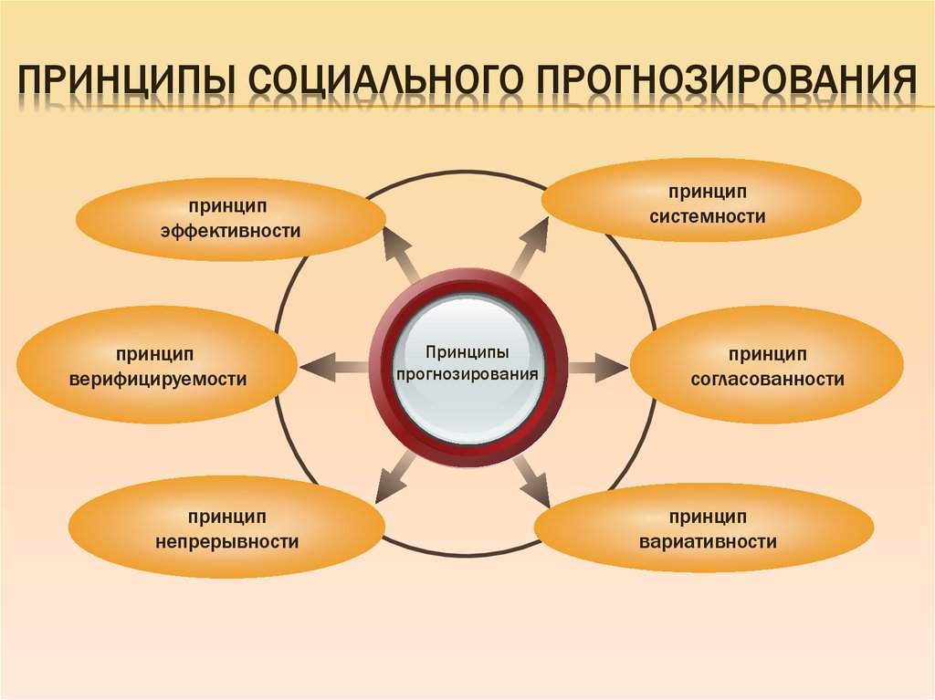 Принципы социального проекта