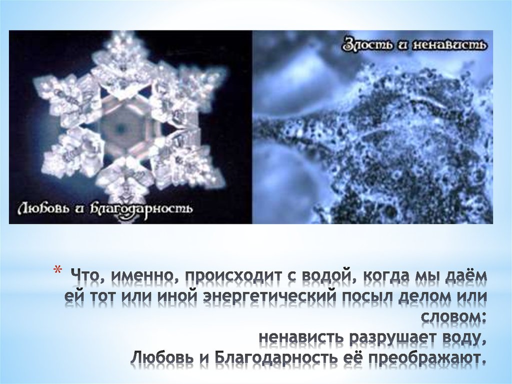 Что именно произошло. Любовь и благодарность. Любовь и благодарность вода. Слова благодарности и любви. Благодарность и ненависть.