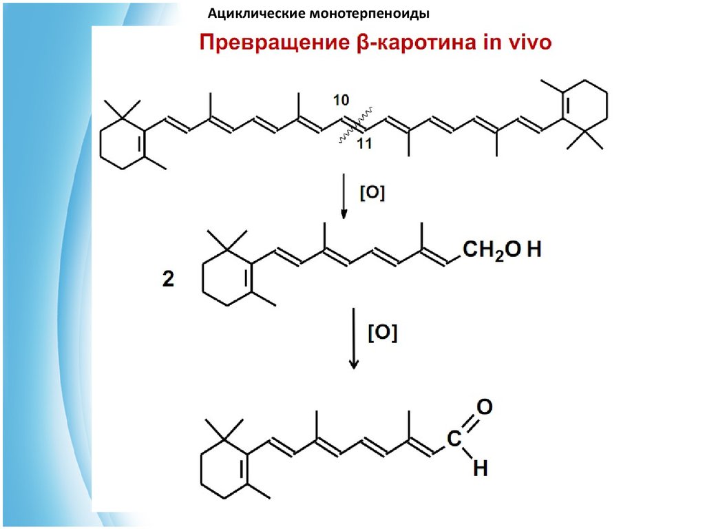 Презентация на тему терпеноиды