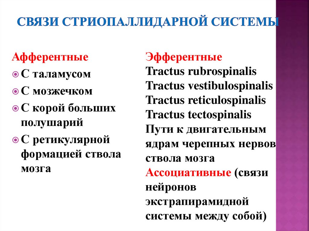 Схема стриопаллидарной системы