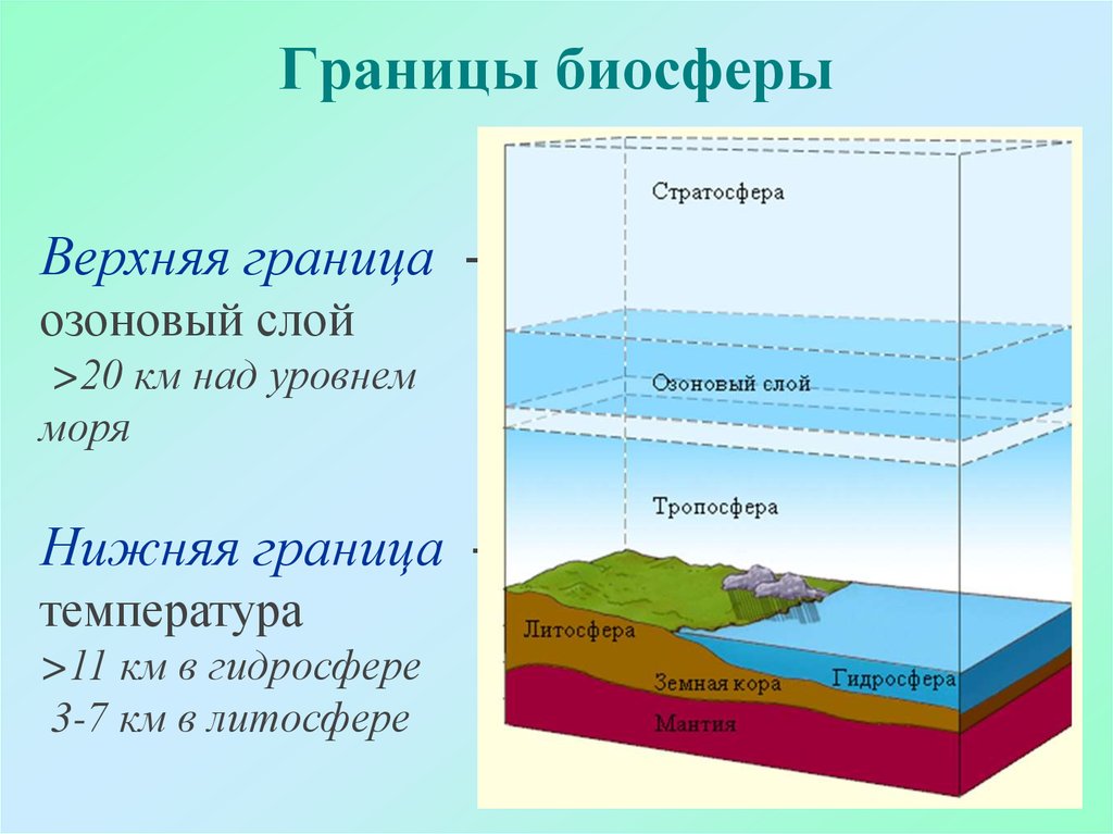 Какая нижняя граница биосферы. Границы биосферы атмосфера гидросфера литосфера. Биосфера атмосфера гидросфера литосфера рисунок. Границы атмосферы литосферы гидросферы. Границы биосферы схема.